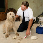 Most Effective Carpet Cleaning D.I.Y. Tips in Dutch Village Carpet Cleaners